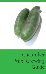 Cucumber mini growing guide - Front cover
